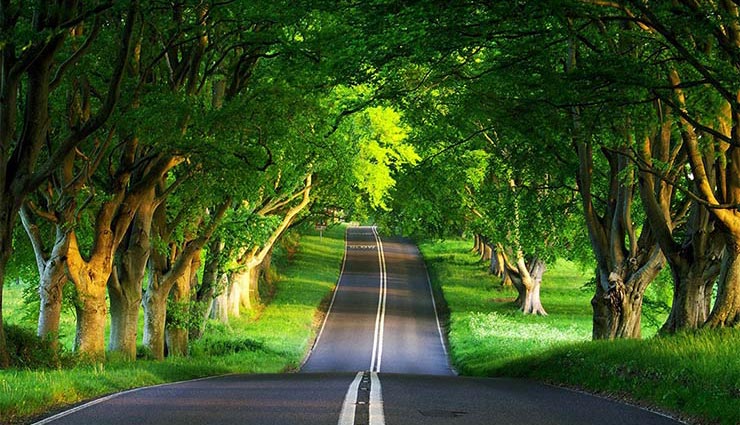 آرامش طبیعت - بامیراث